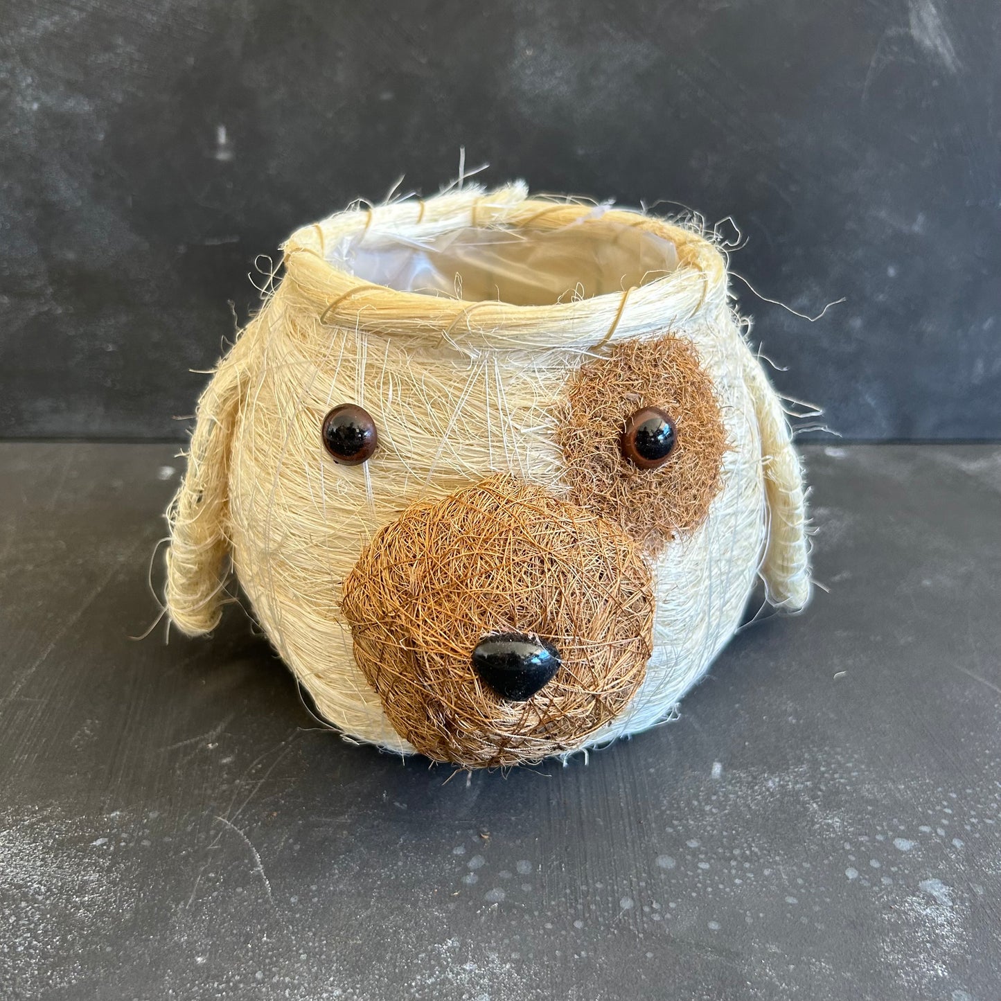 Dog Husk Planter 10cm