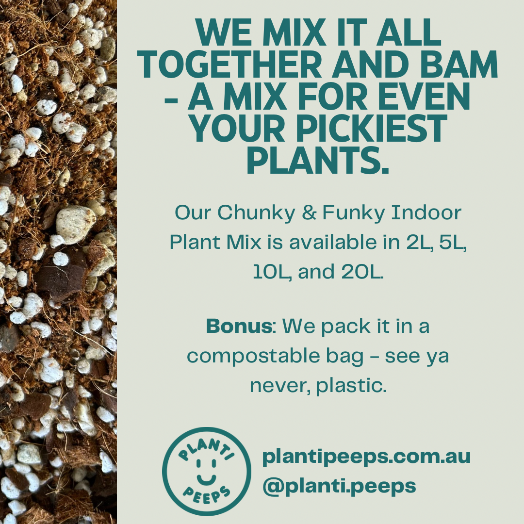 Chunky & Extra Funky Bundle - PICKUP/ACT DELIVERY