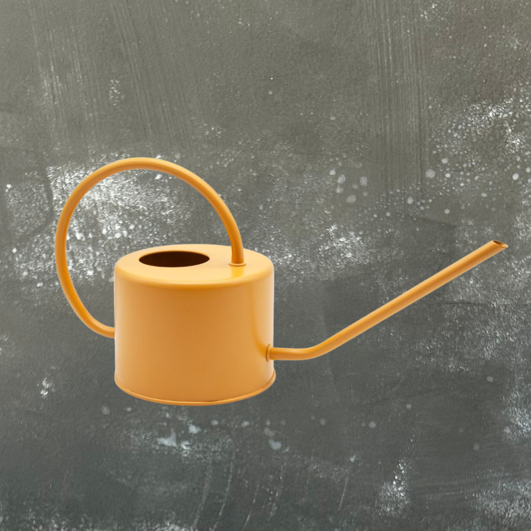 1L Metal Watering Can - Assorted Colours