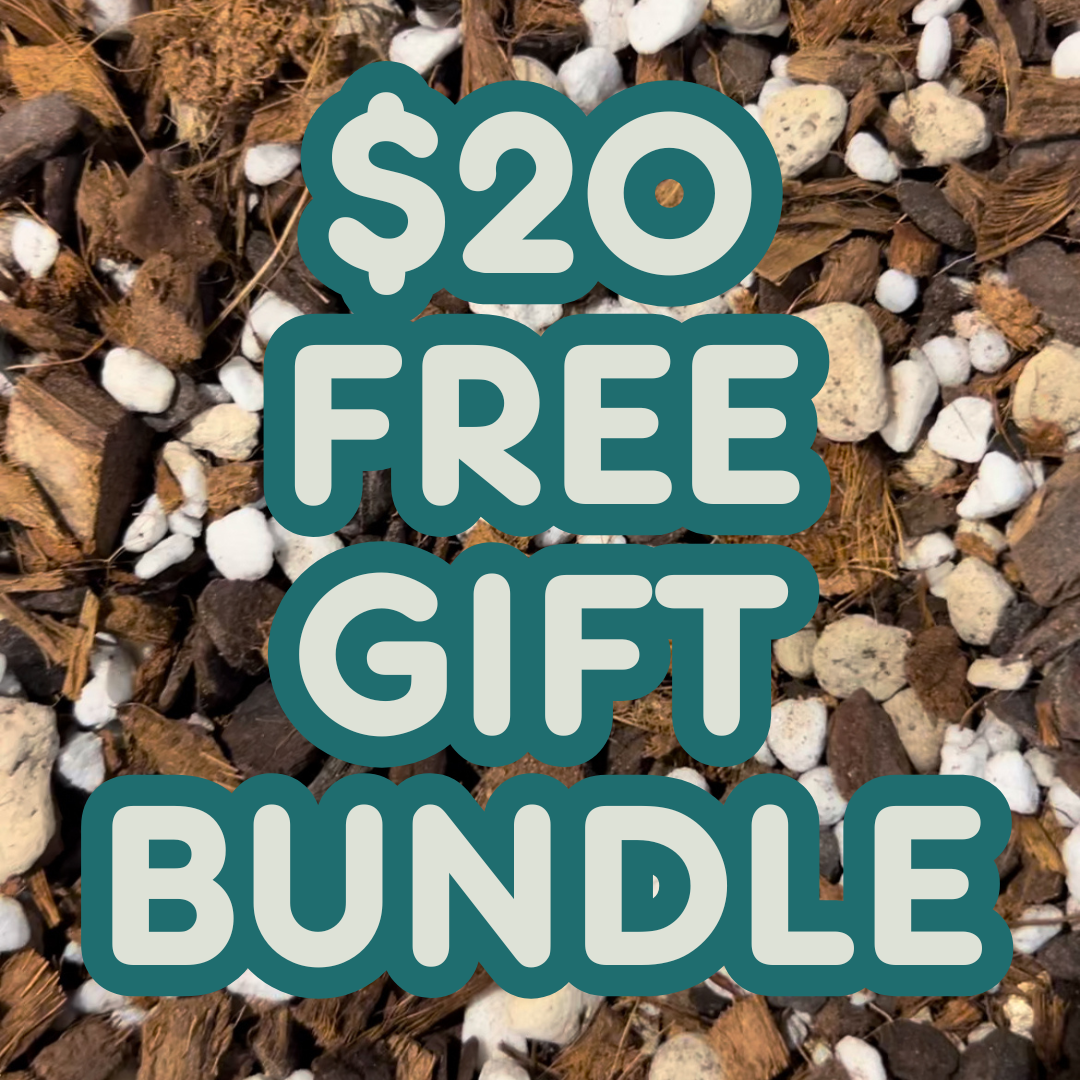$20 Free Gift Bundle