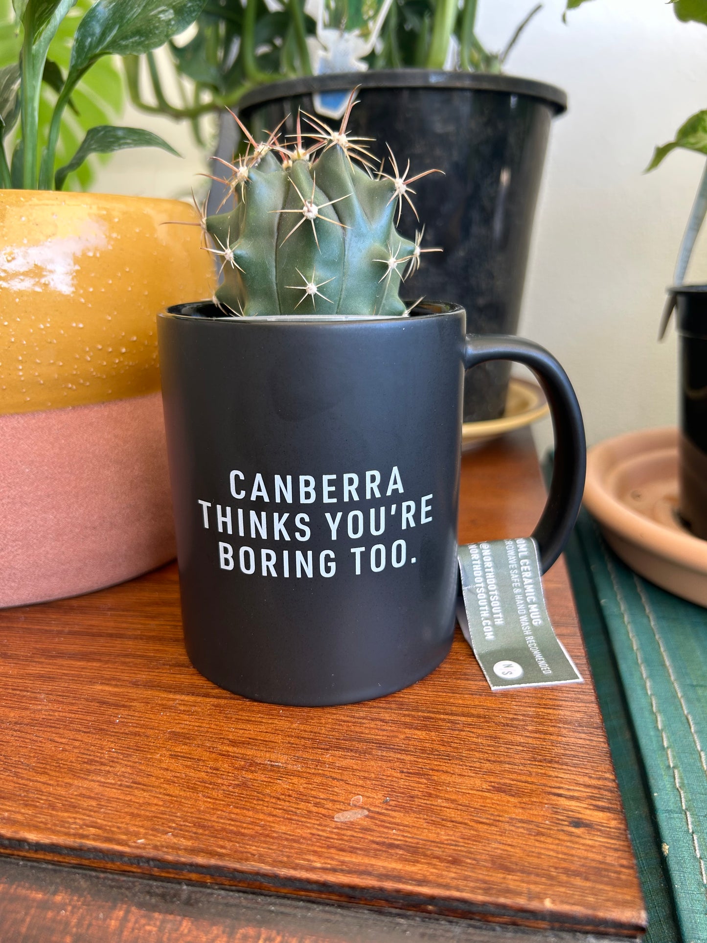 Canberra Mugs by North/South
