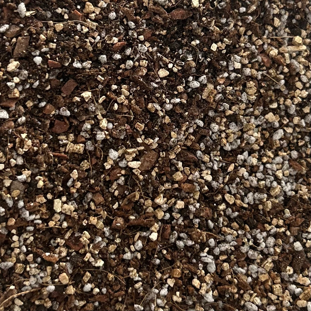 Trusty Terrarium Mix