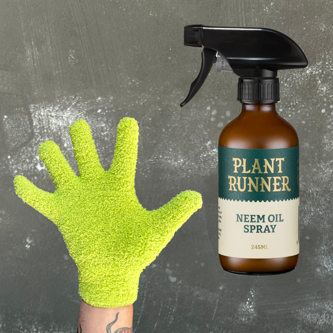 Neem Oil Leaf Cleaning Duo