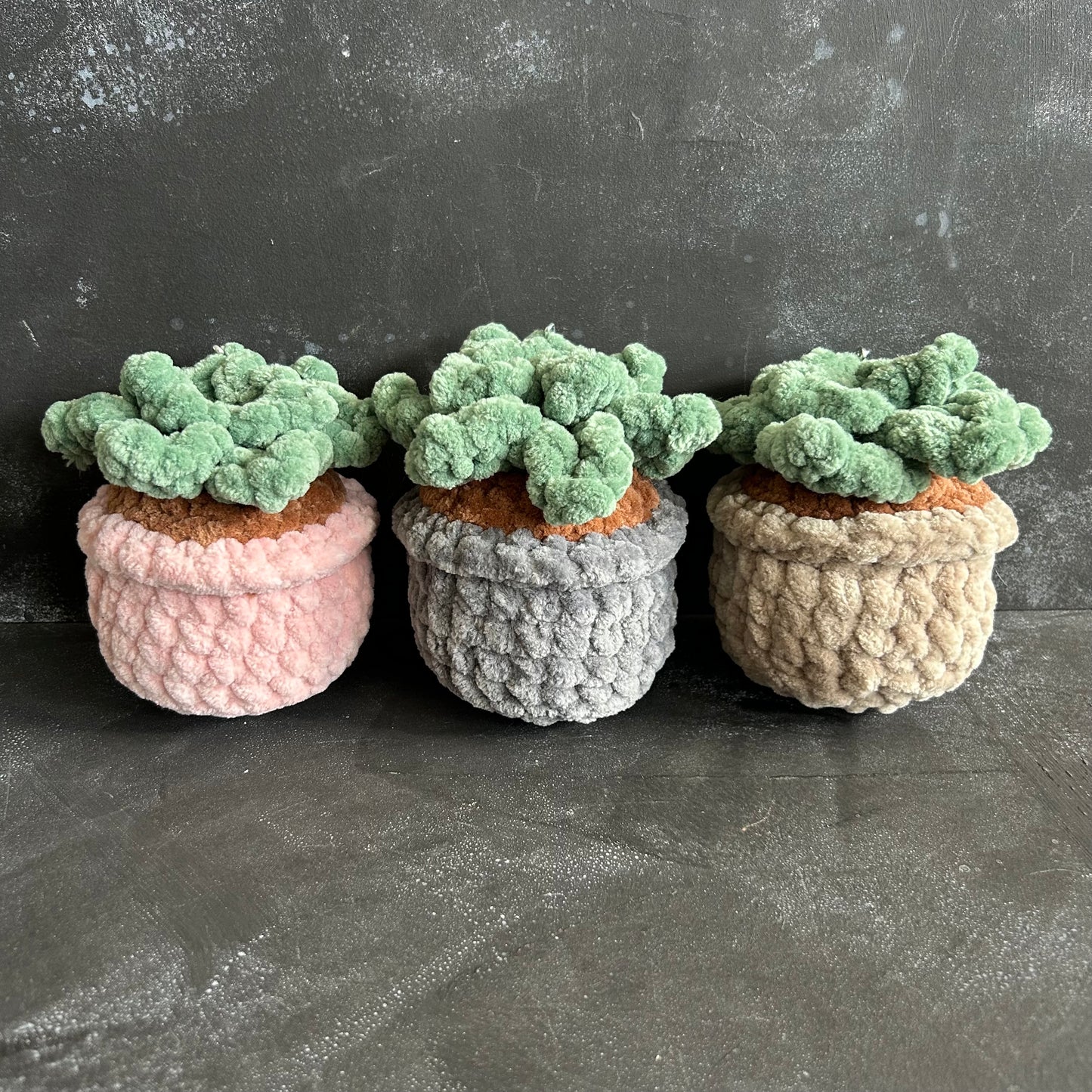 Large Succulent by @thegirlwhoknots