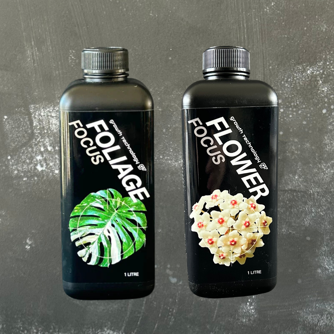 Flowering Indoor Plant Food Bundle