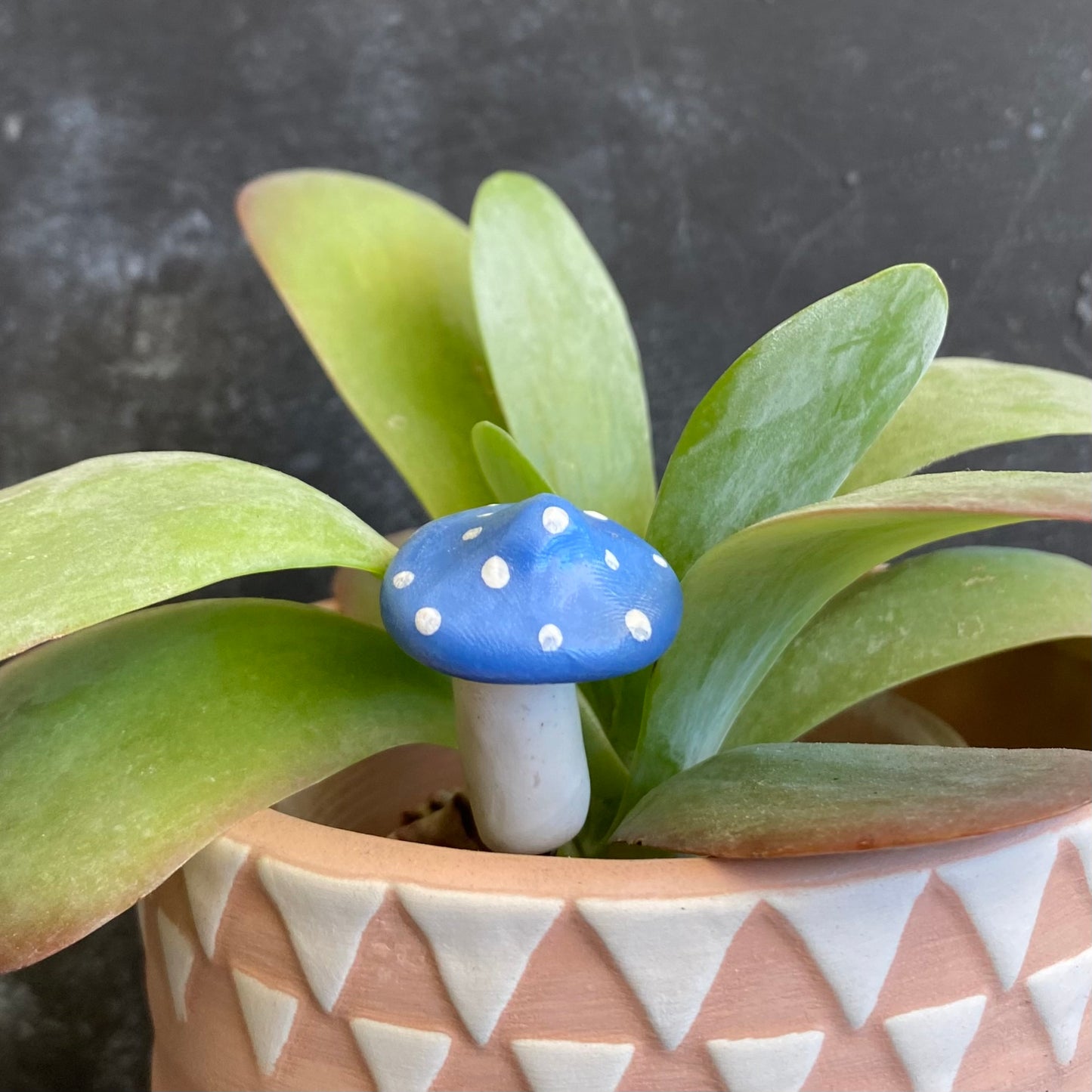 Planti Pot Peep - Shroomie