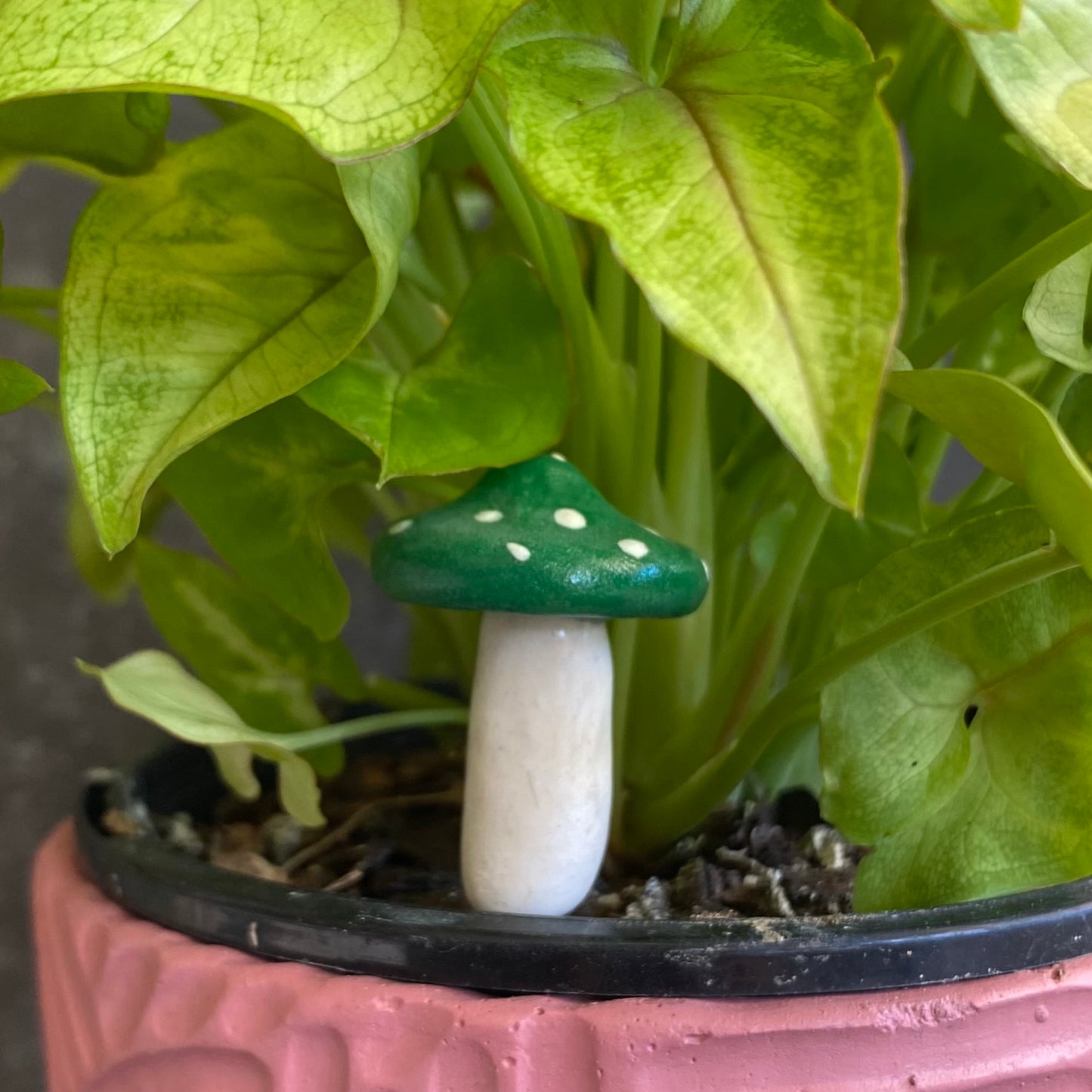 Planti Pot Peep - Shroomie