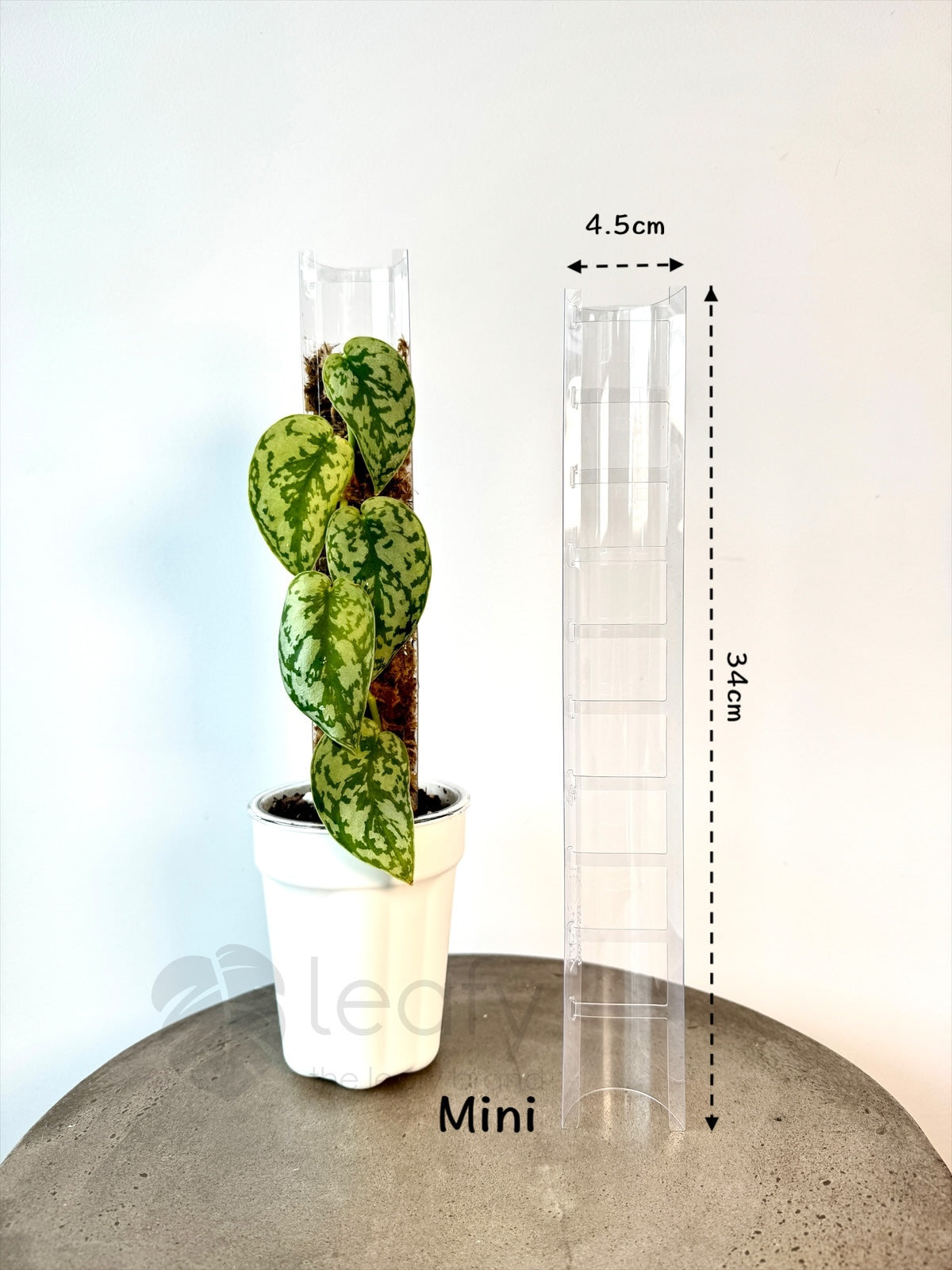 moss pole australia Leafy Moss Pole 3.0| Indoor Plant Moss Pole Support Australia – Planti Peeps