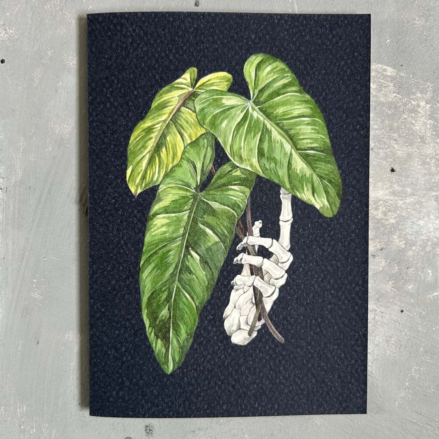Philodendron Erubescens Cutting Card/A6 Mini Poster