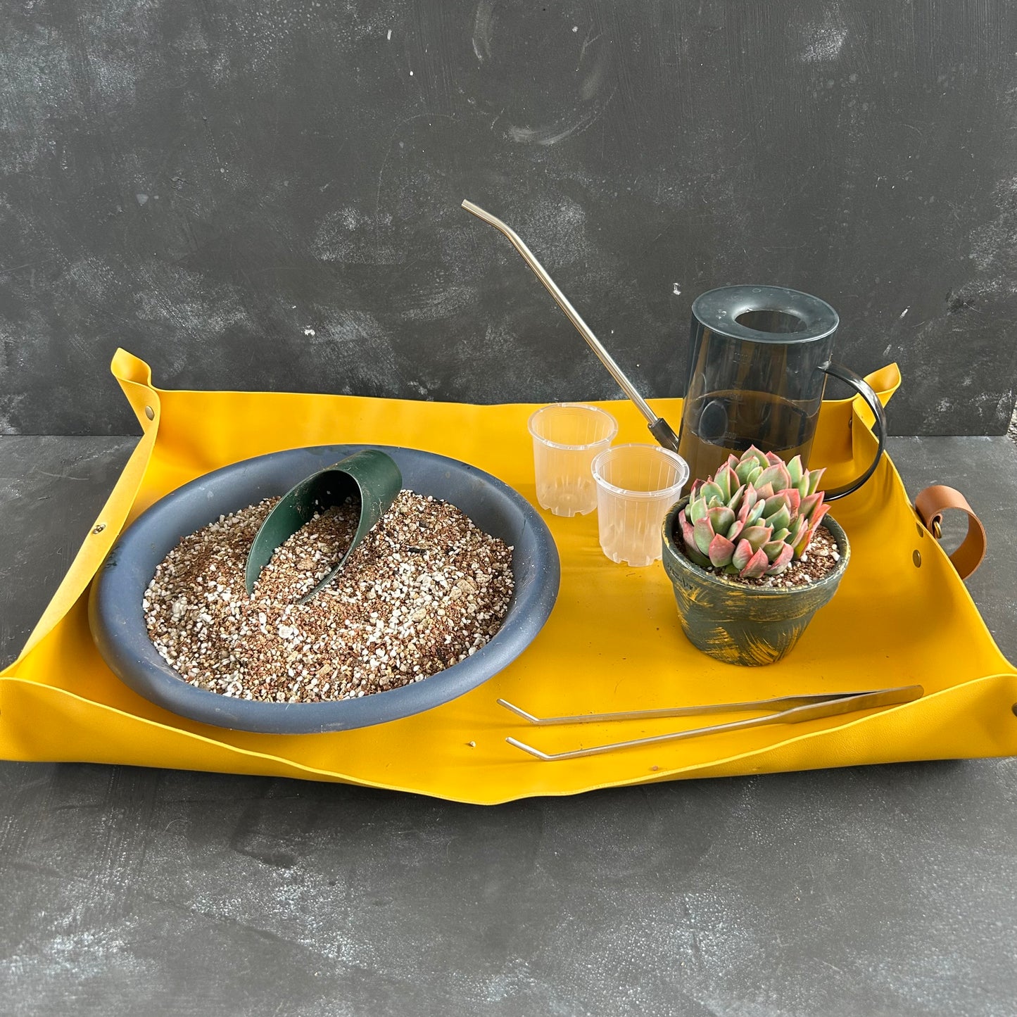 Potting Mat by Planti Peeps