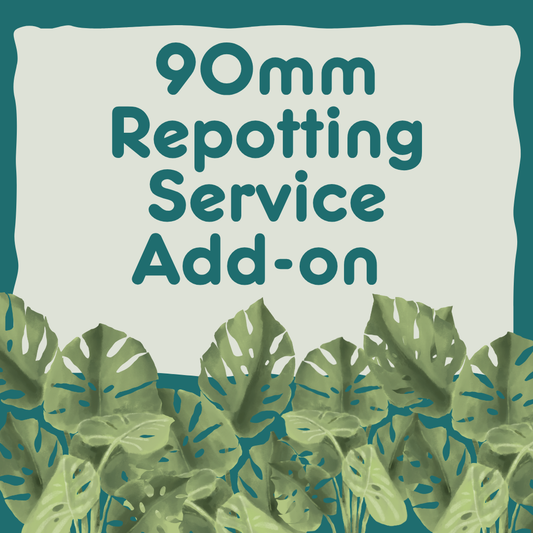 90mm Repotting Service Add-On