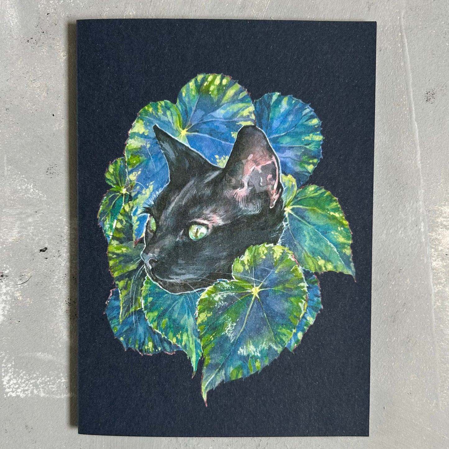 Salem with Begonia Card/A6 Mini Poster