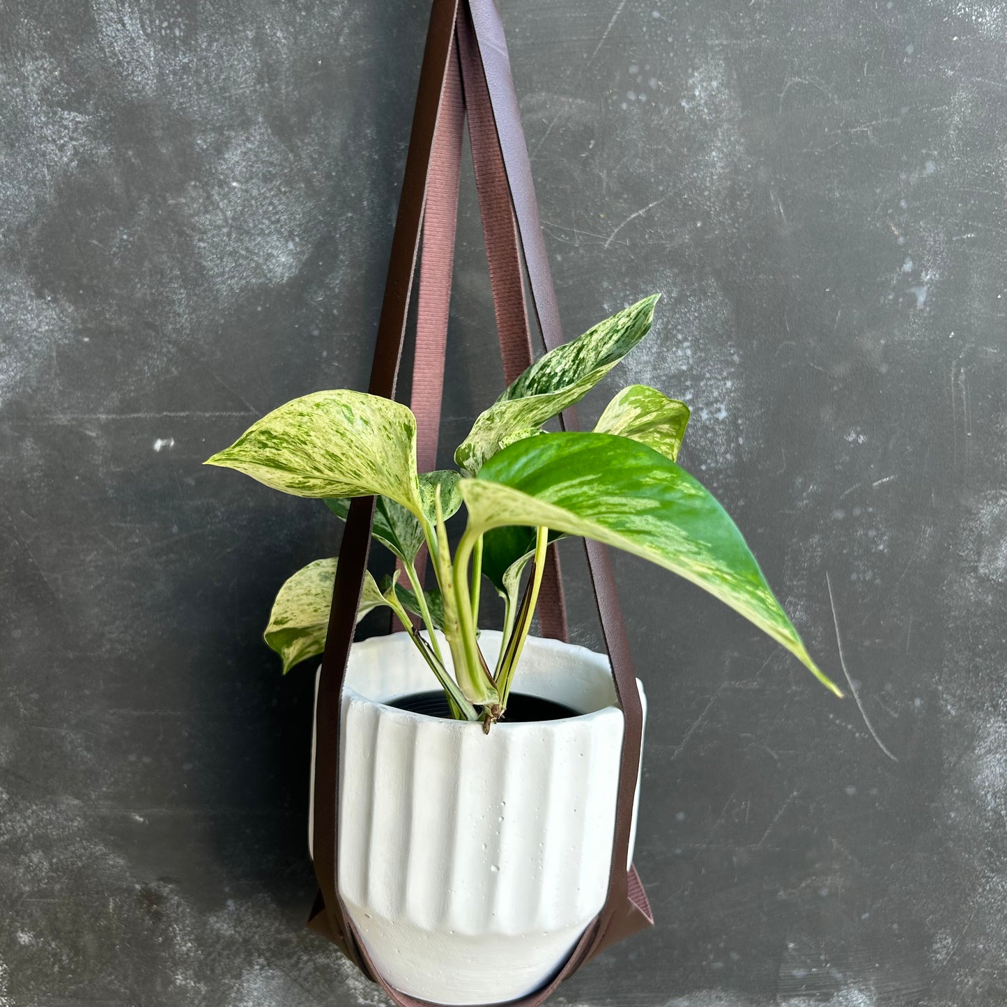 Faux Leather Pot Hanger