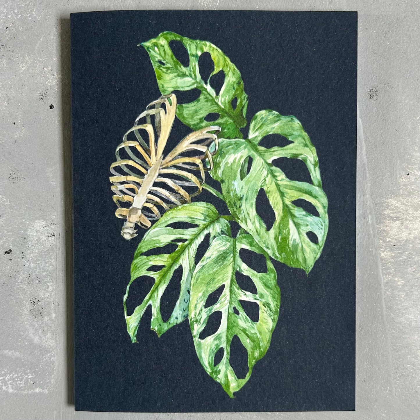 Monstera Mint with Ribs Card/A6 Mini Poster
