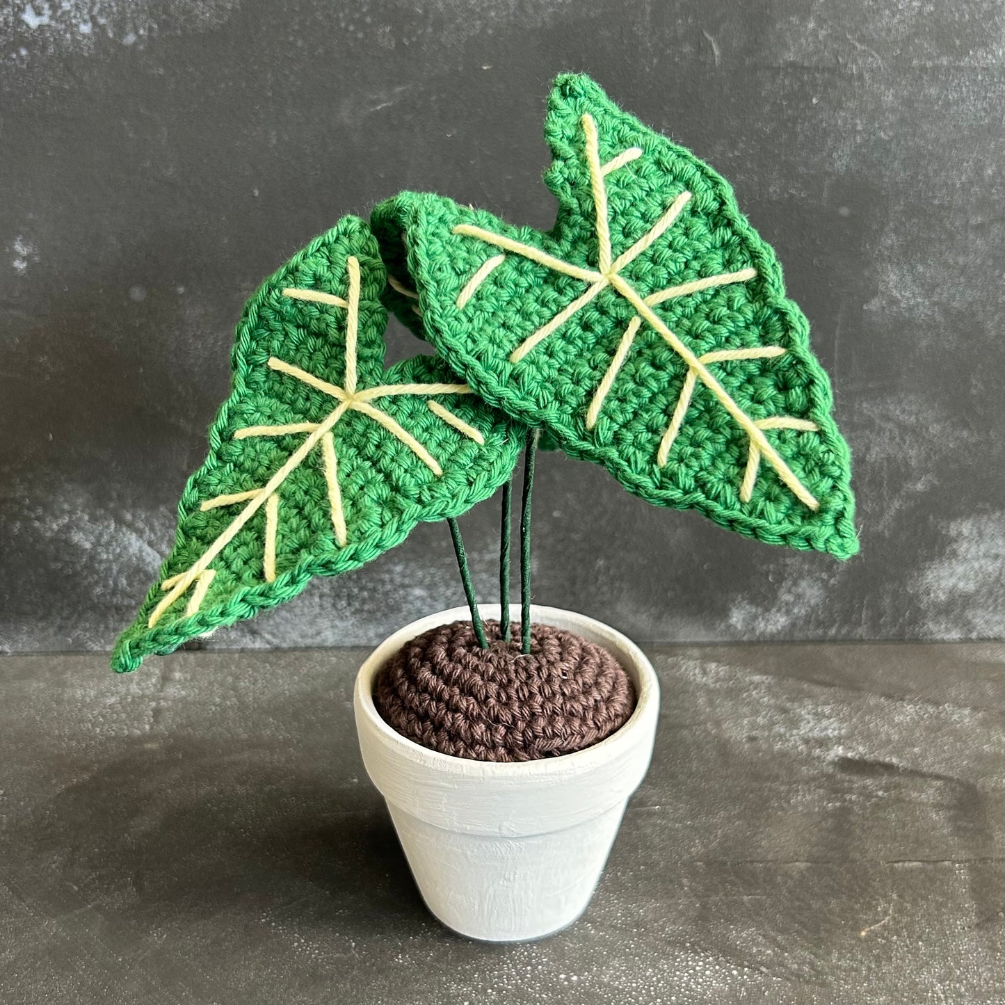 Crocheted Alocasia Frydek