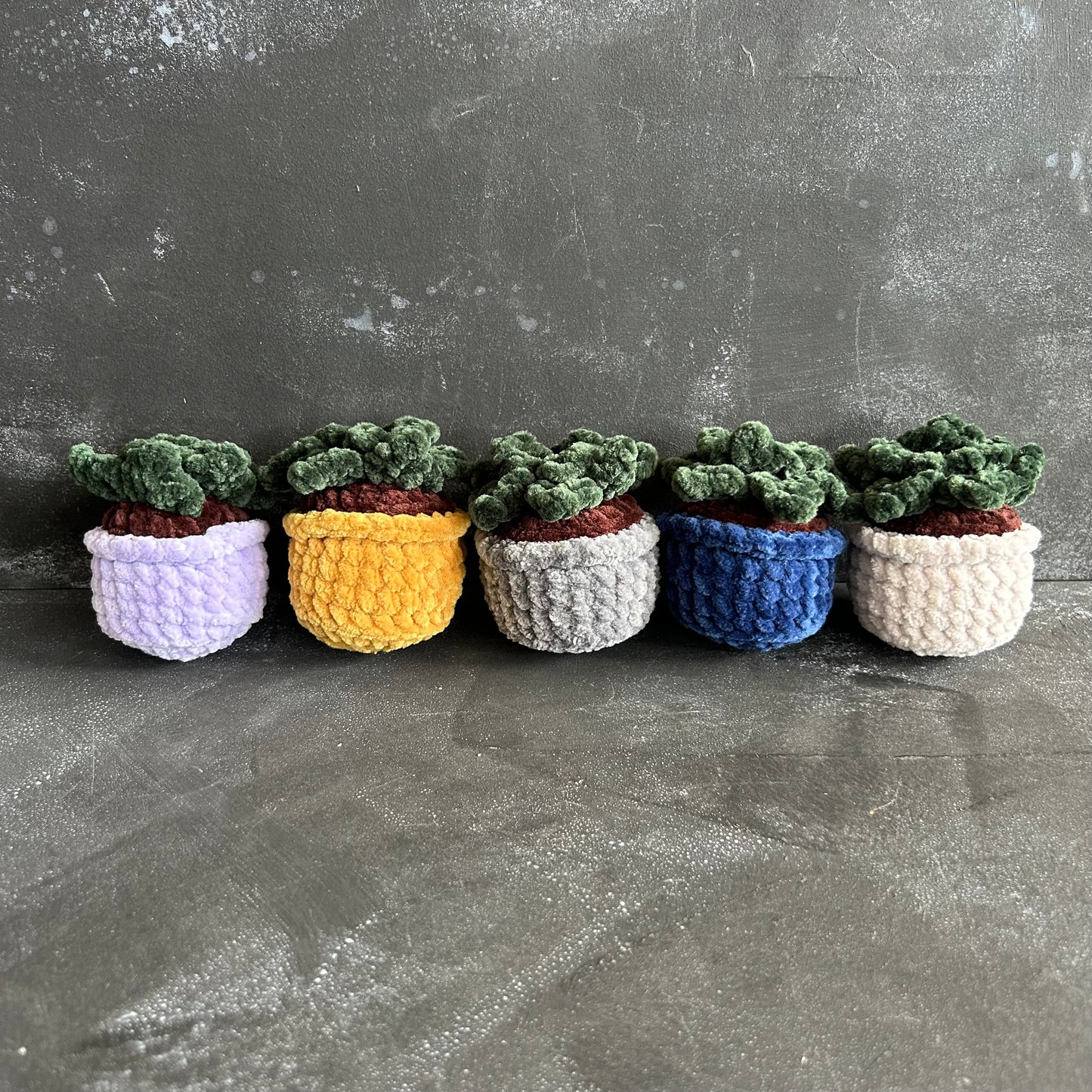 Small Succulent by @thegirlwhoknots