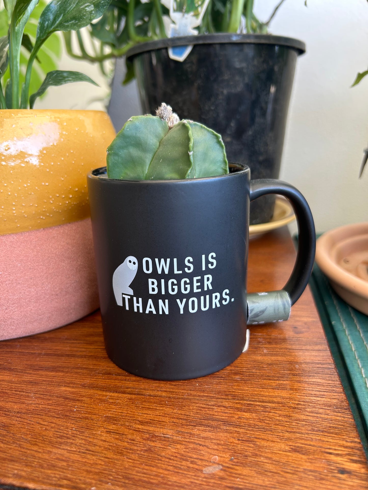 Canberra Mugs by North/South