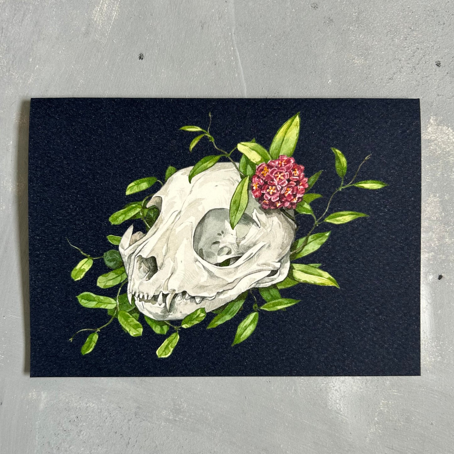 Cat Skull with Hoya Branches Card/A6 Mini Poster