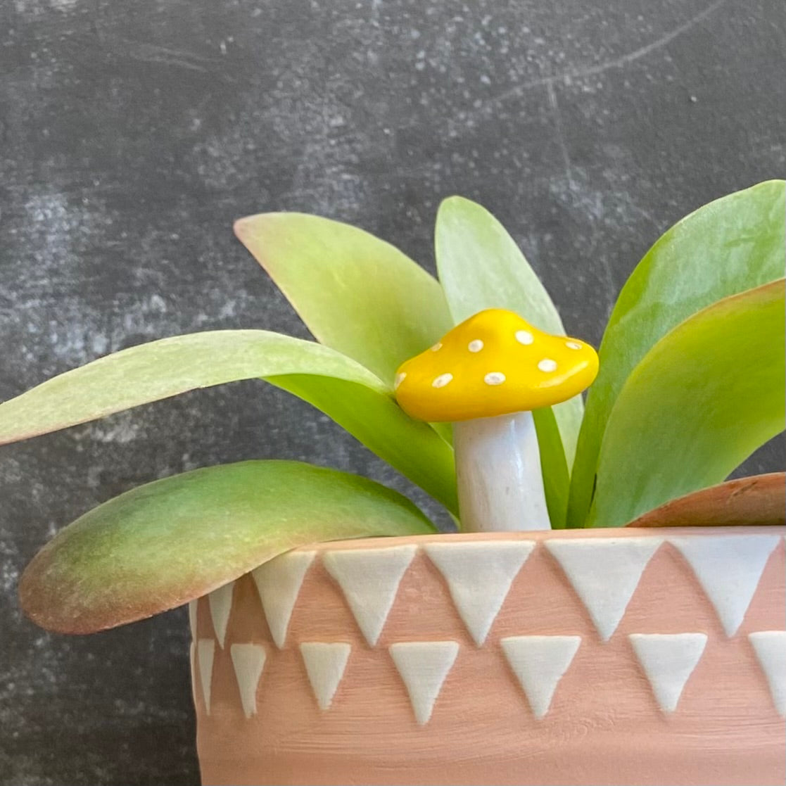 Planti Pot Peep - Shroomie