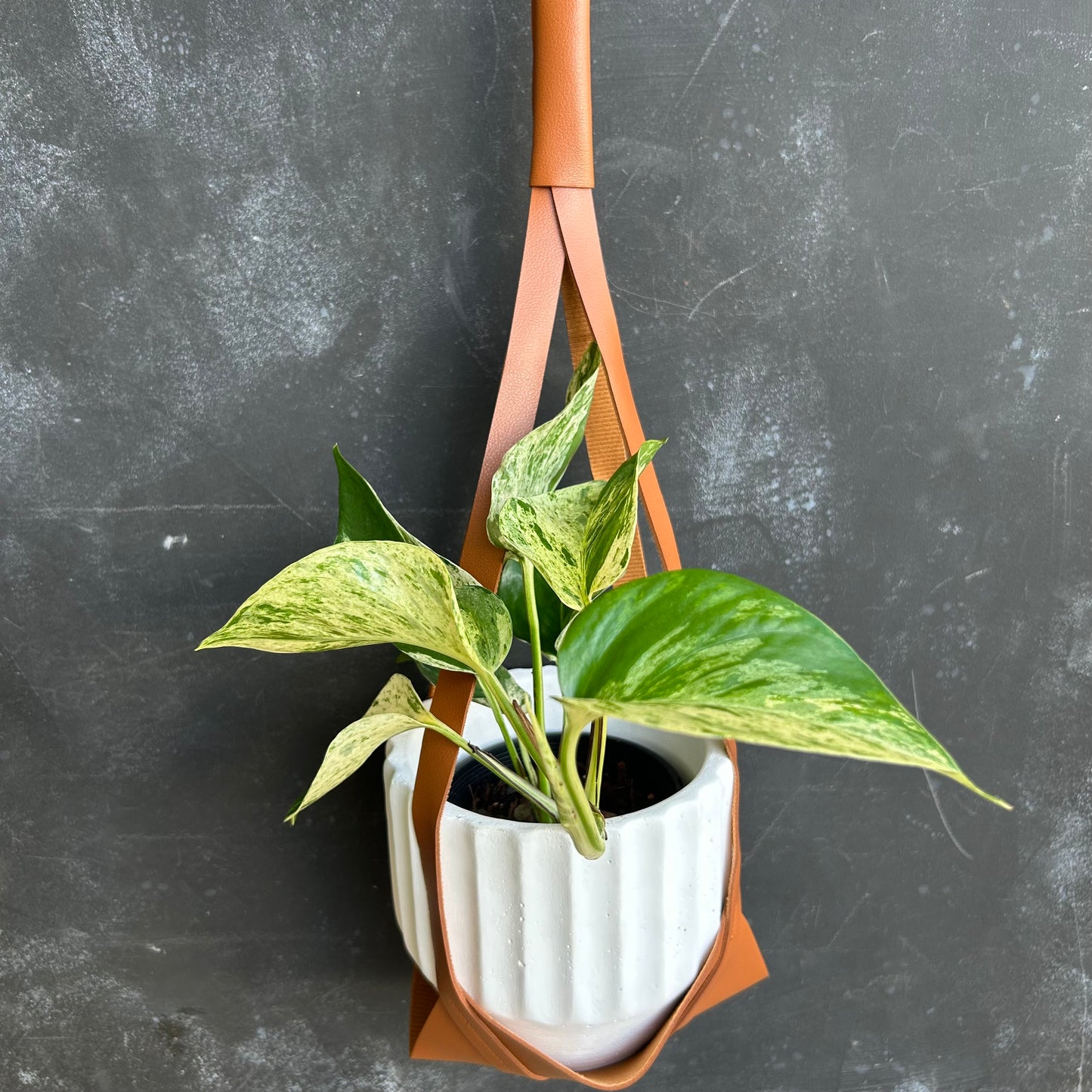 Faux Leather Pot Hanger