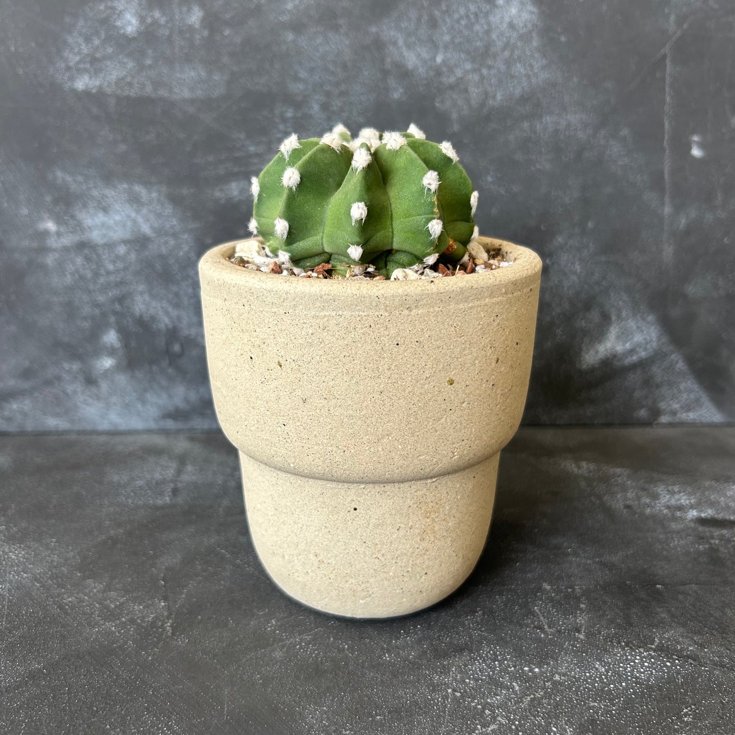 Travel Cup Pot by Nipots 9cm