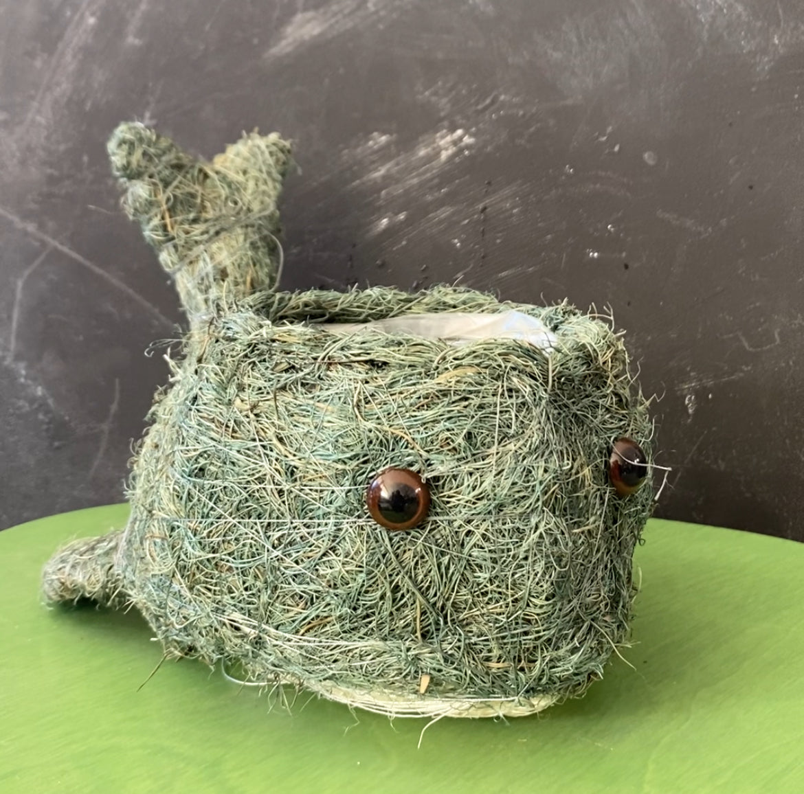 Whale Husk Planter 10cm