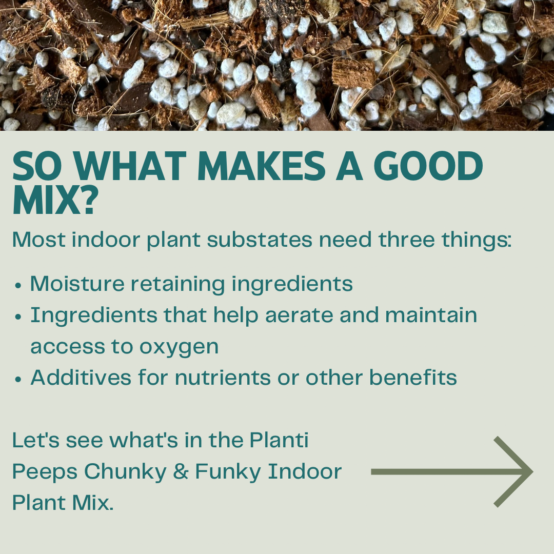 Repot & Grow Essentials Kit