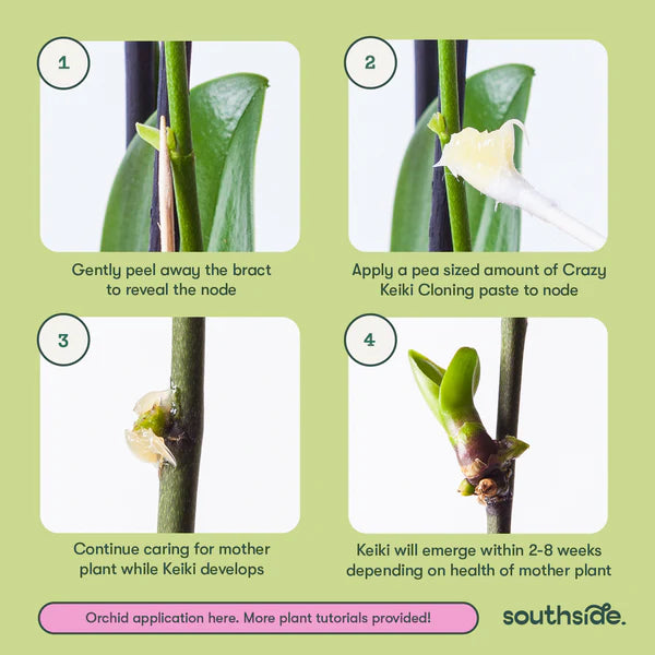 Plant Cloning Bundle