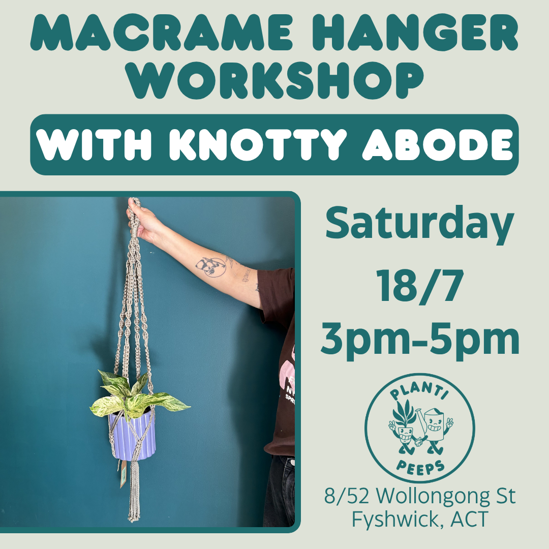 Macrame Hanger Workshop - 18/7