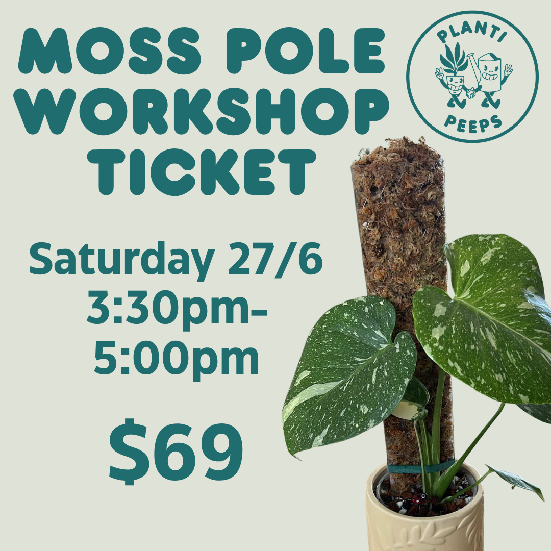 Moss Pole Workshop Ticket - Saturday 27/6