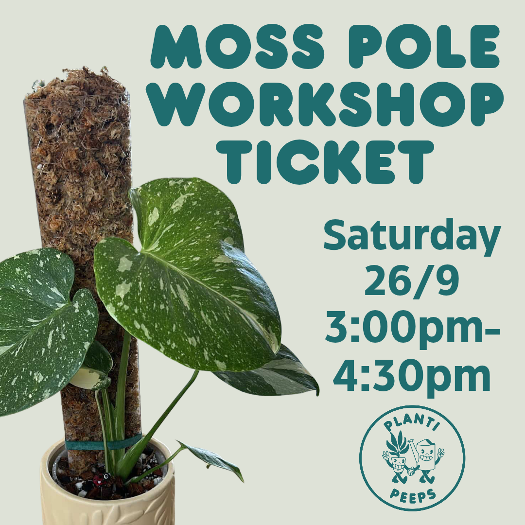 Moss Pole Workshop Ticket - Saturday 26/9