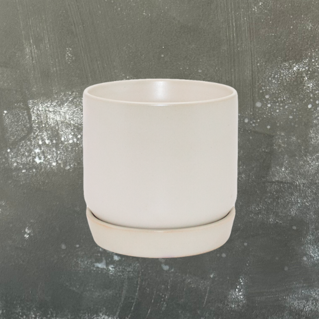 Oslo Plant Pot with Saucer - Mini