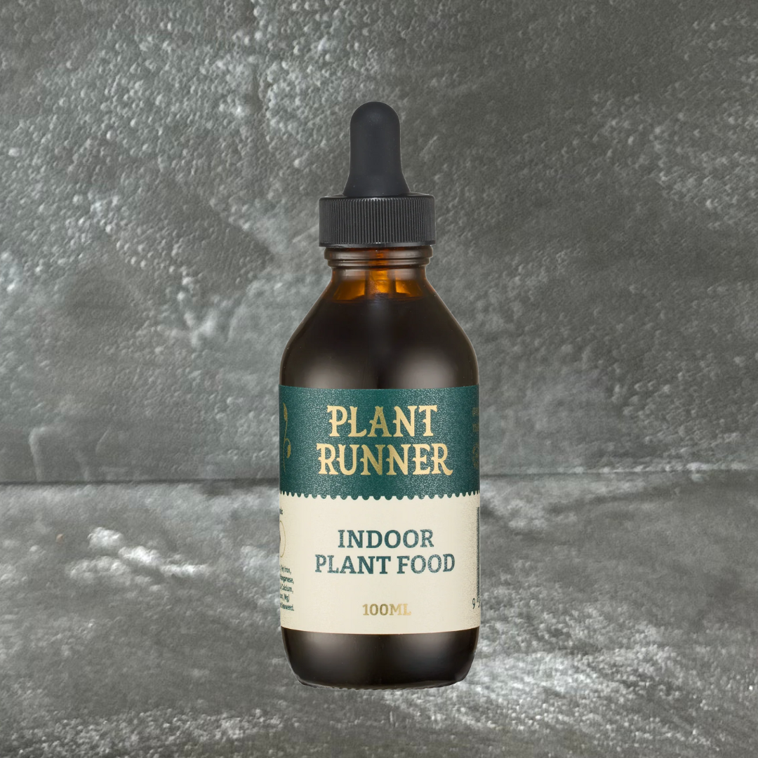 Indoor Plant Food by Plant Runner