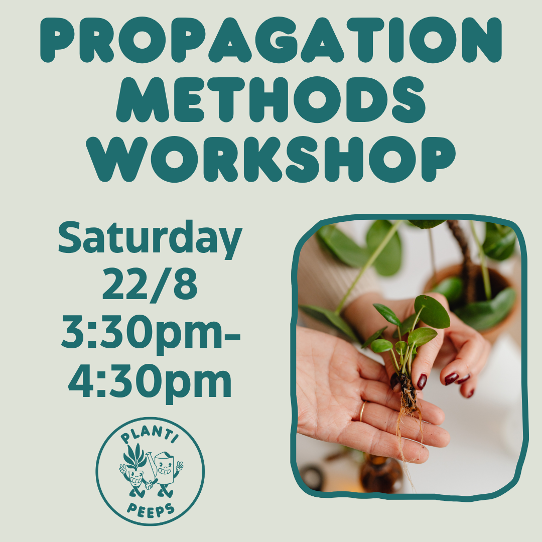 Propagation Methods Workshop - Saturday 22/8