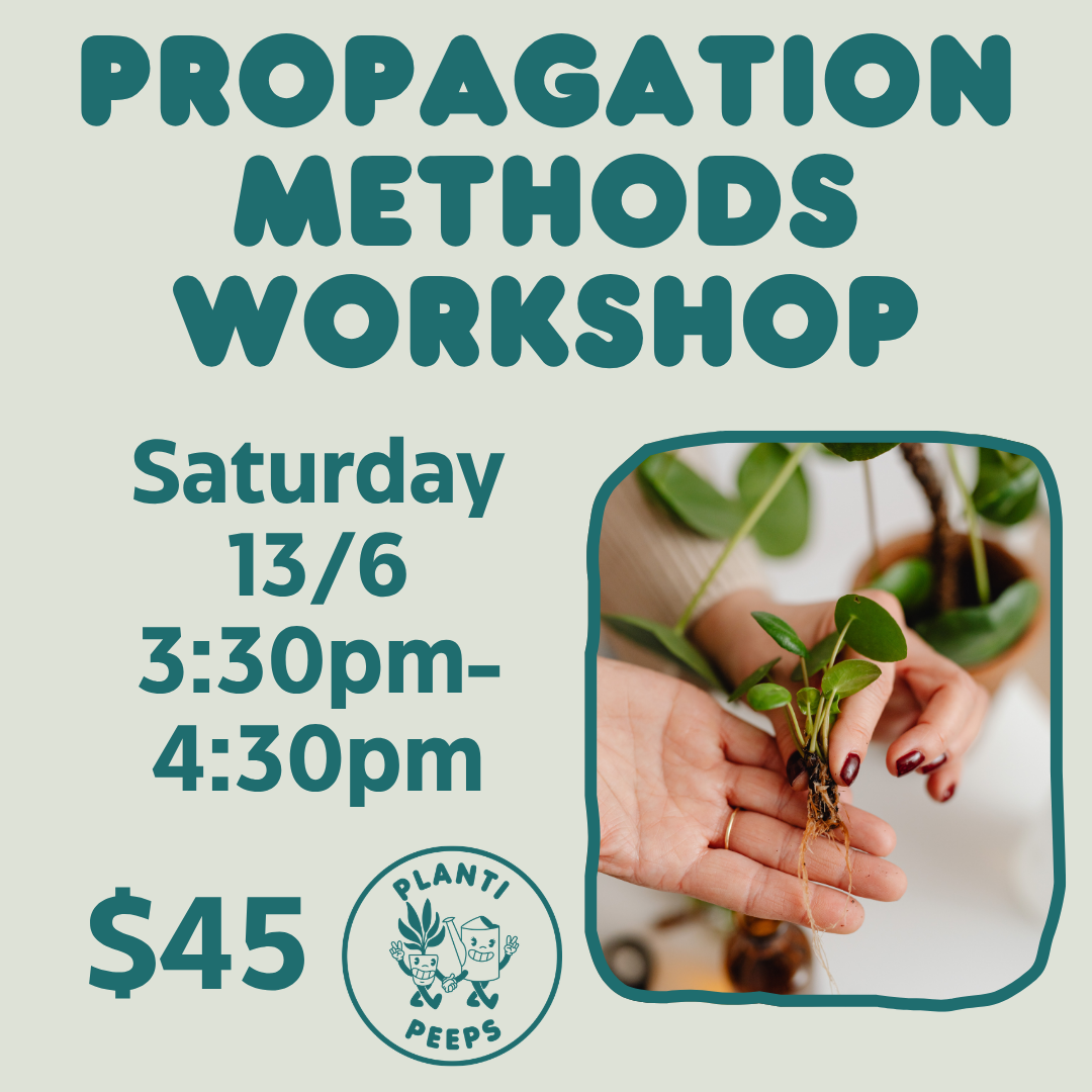 Propagation Methods Workshop - Saturday 13/6