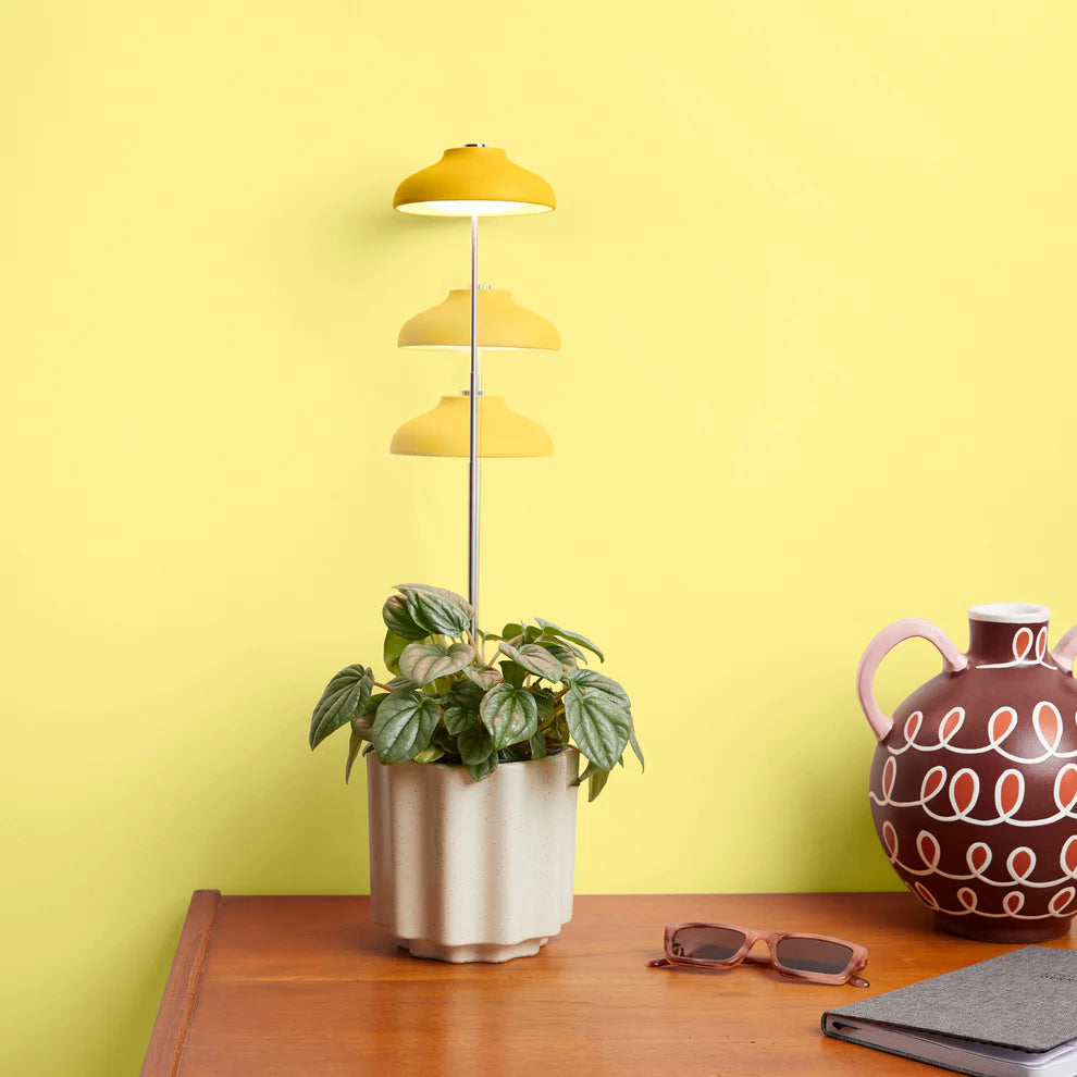 Instant Sun Grow Lamp Grow Light