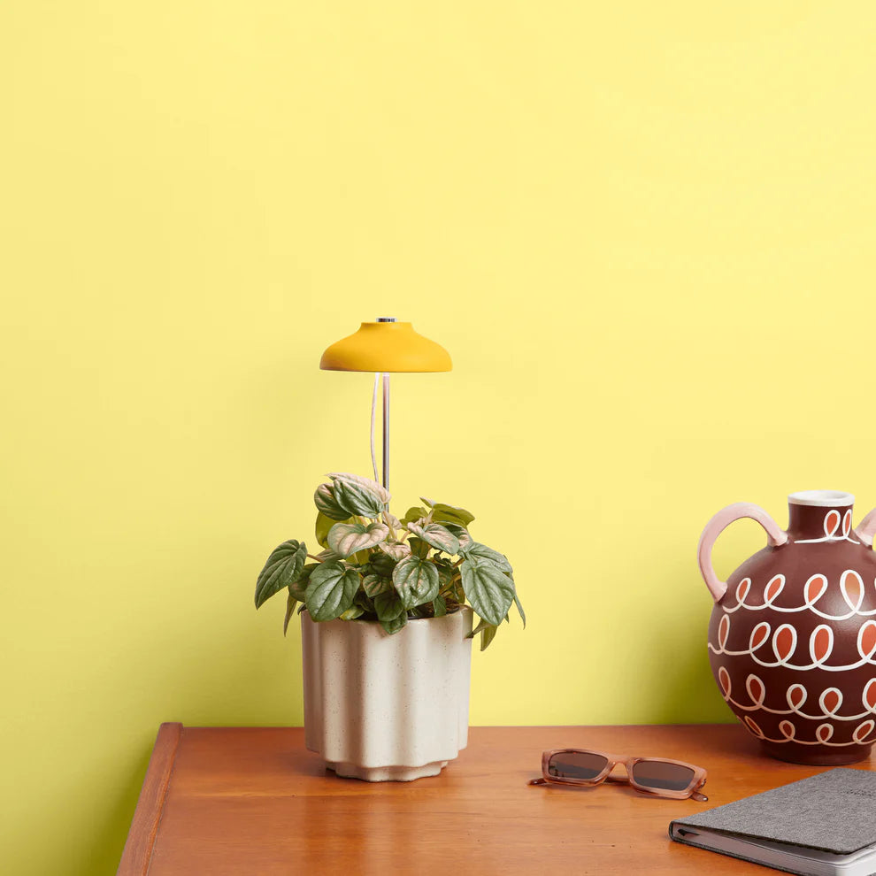Instant Sun Grow Lamp Grow Light