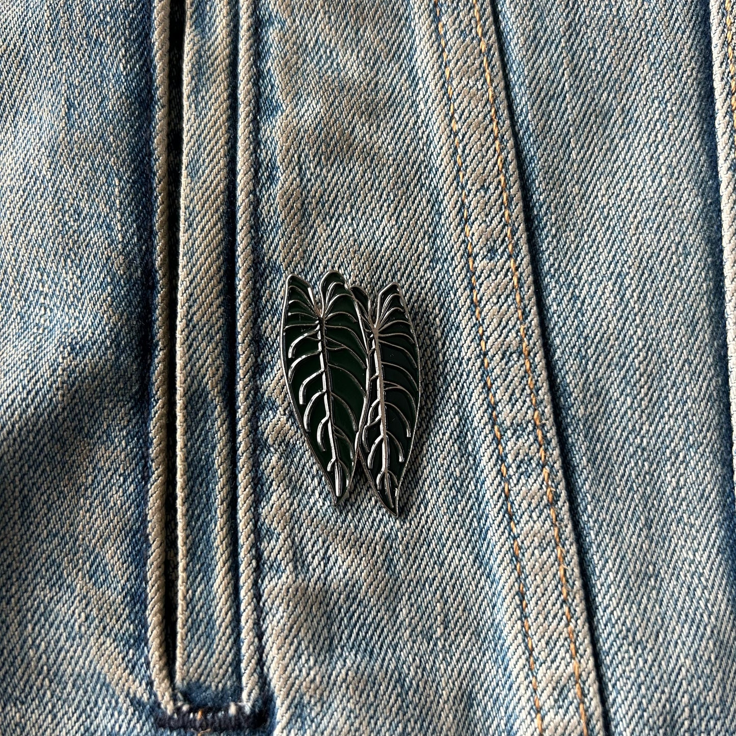 Planti Pin - Philodendron Melanochrysumi