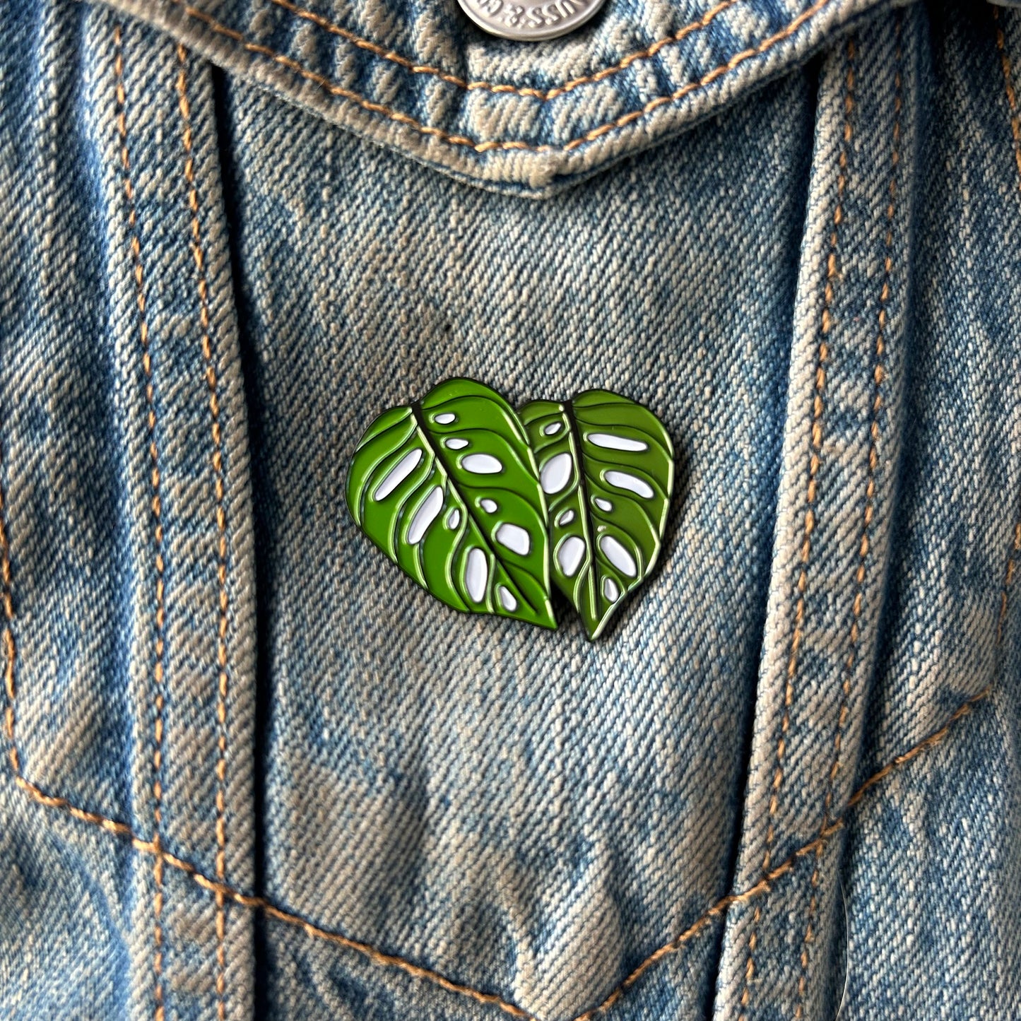 Planti Pin - Monstera Adansonii