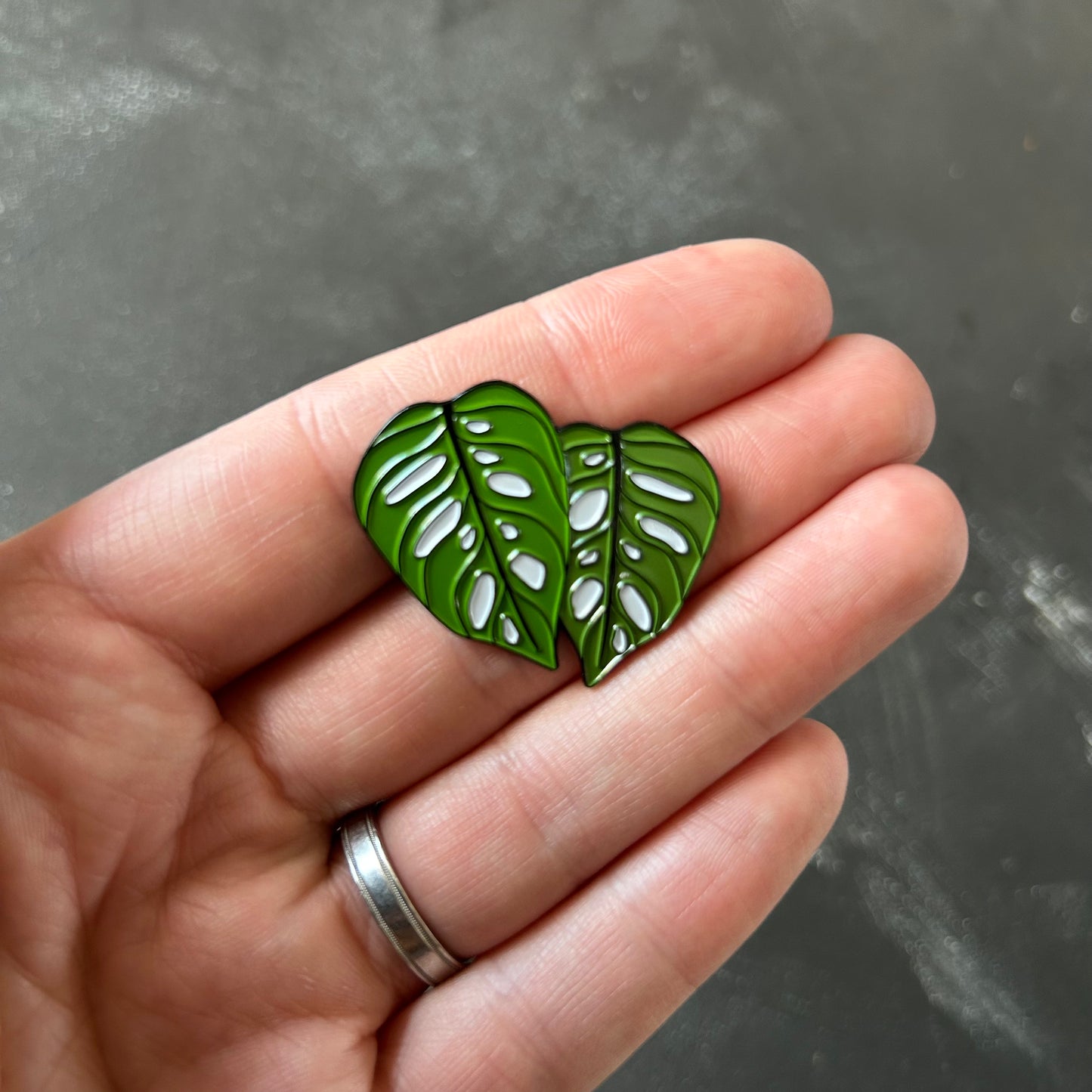 Planti Pin - Monstera Adansonii
