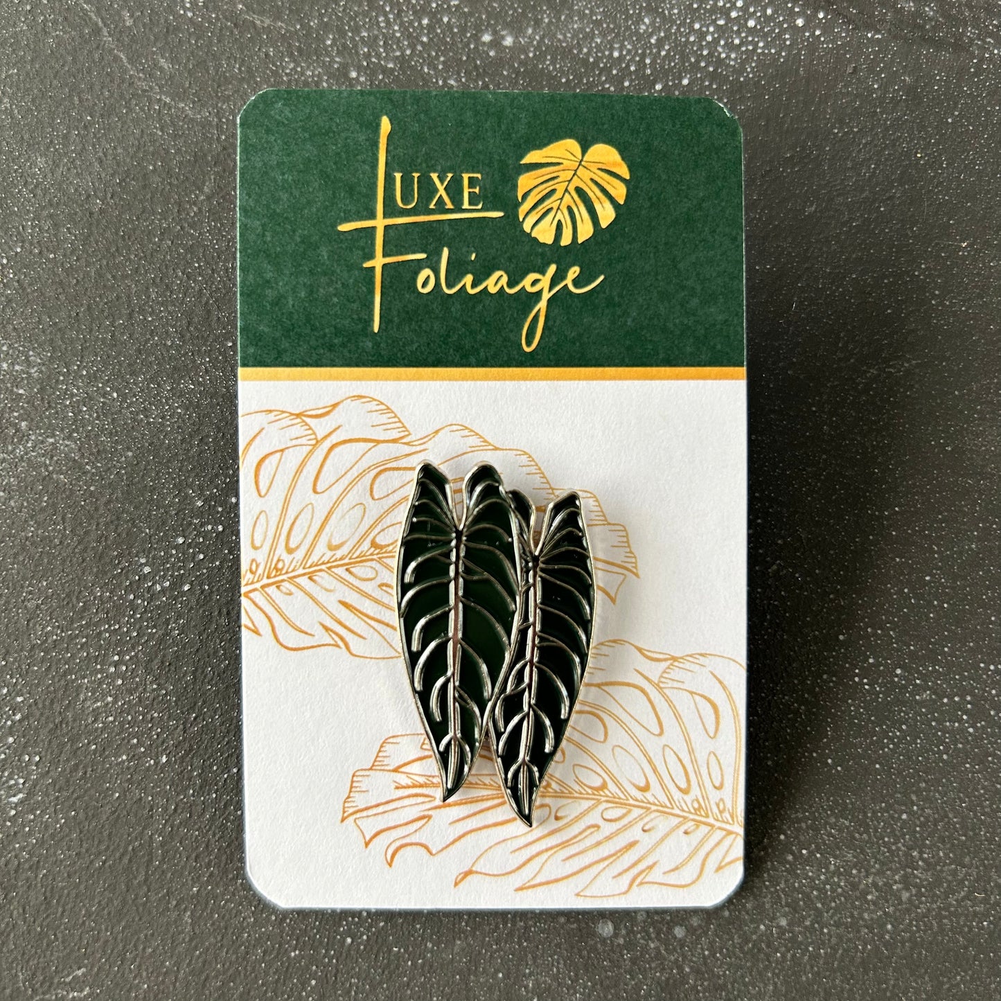 Planti Pin - Philodendron Melanochrysumi