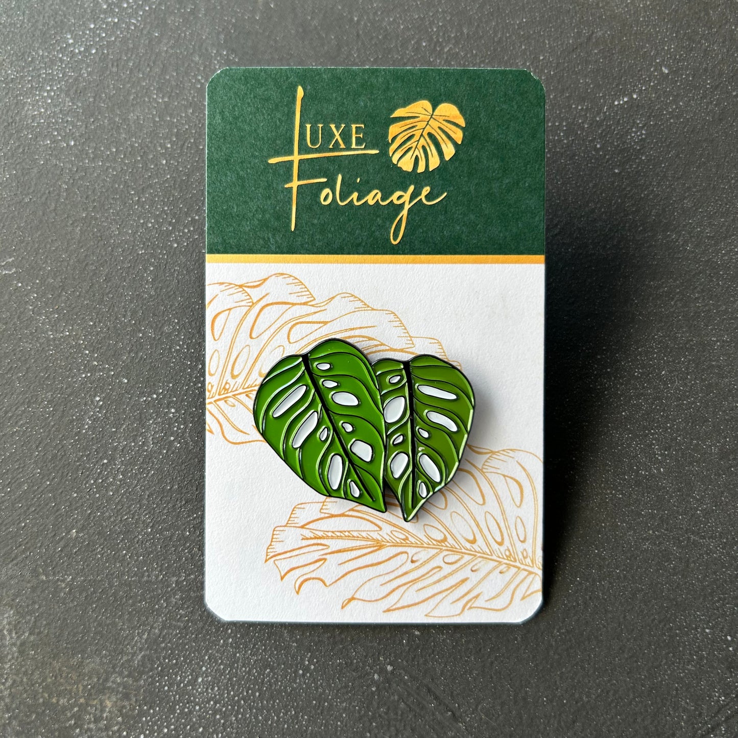 Planti Pin - Monstera Adansonii