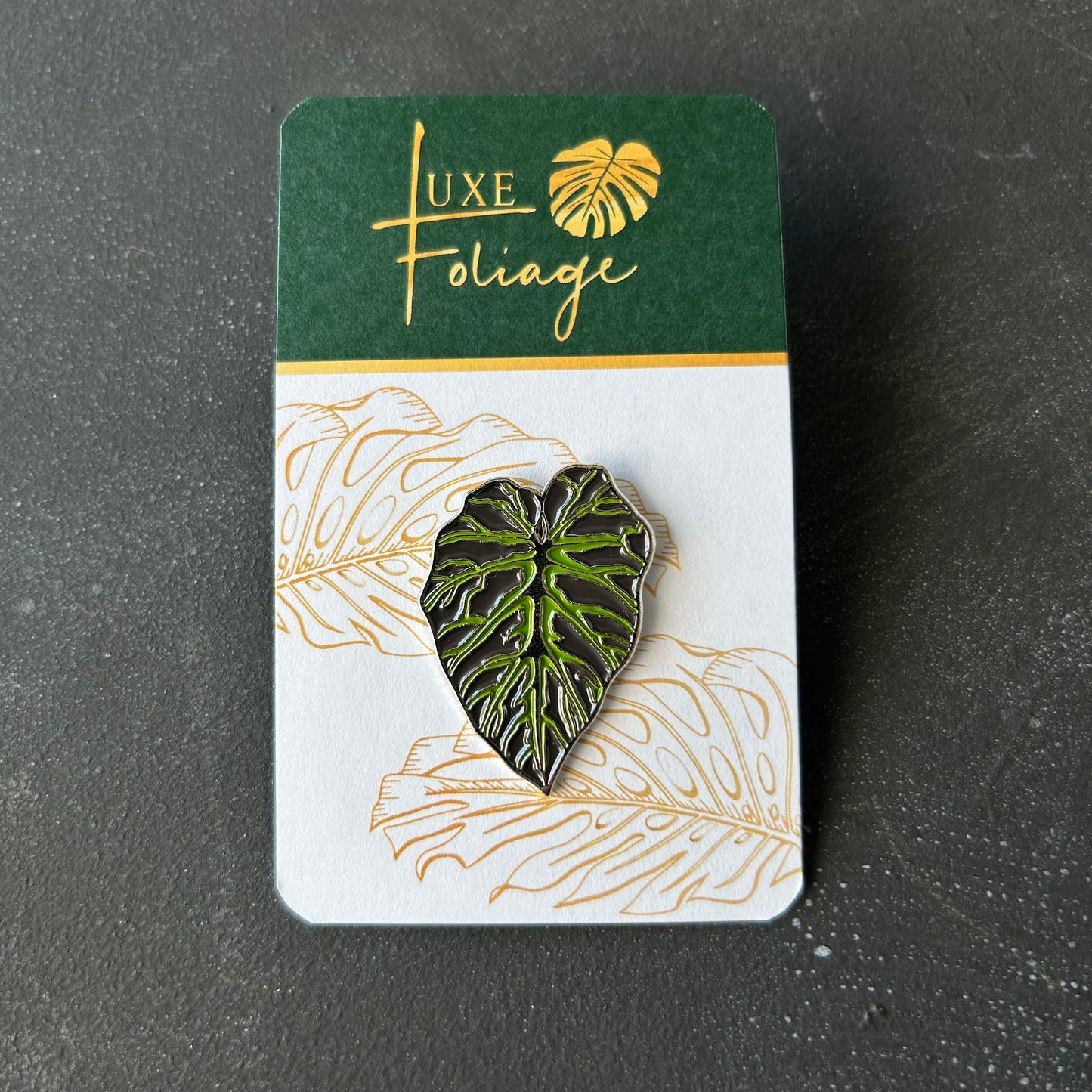 Planti Pin - Philodendron Verrucosum