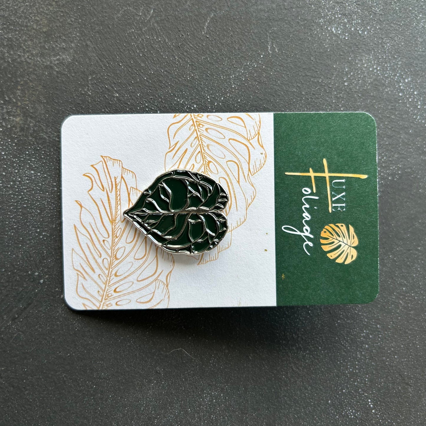 Planti Pin - Anthurium Clarinervium