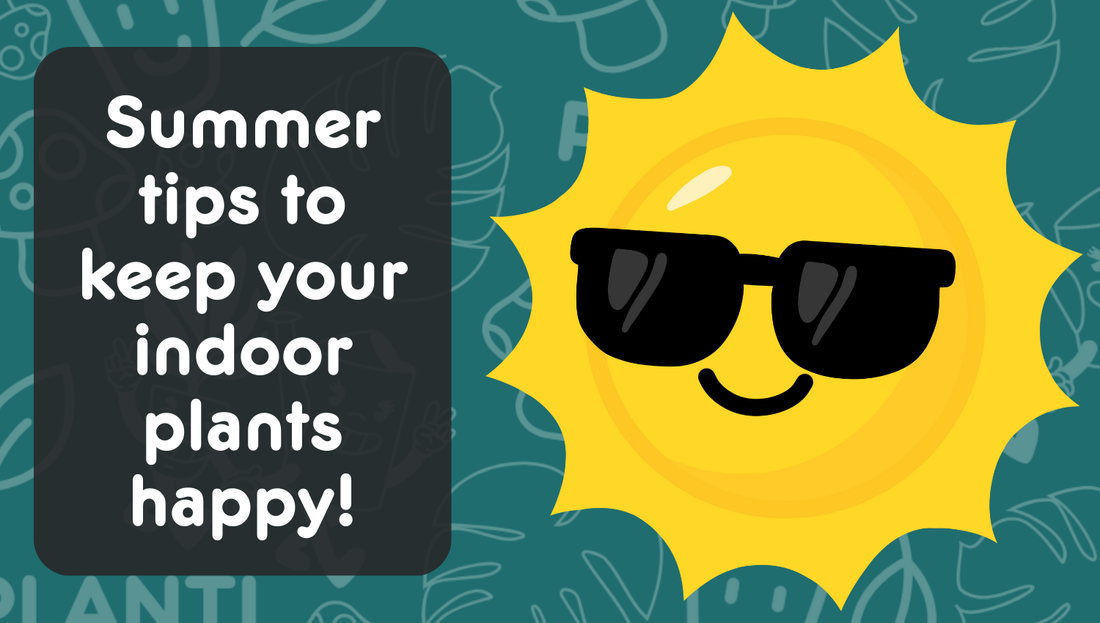 Summer tips for your indoor plants (Yes, indoor plants!)