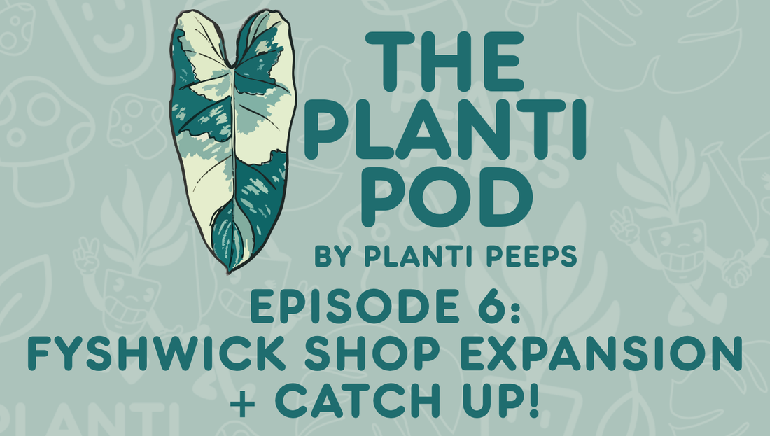 The Planti Pod Episode 6: Fyshwick Shop Expansion Catch Up!