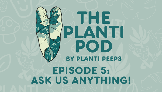 The Planti Pod Episode 5: Ask Us Anything!
