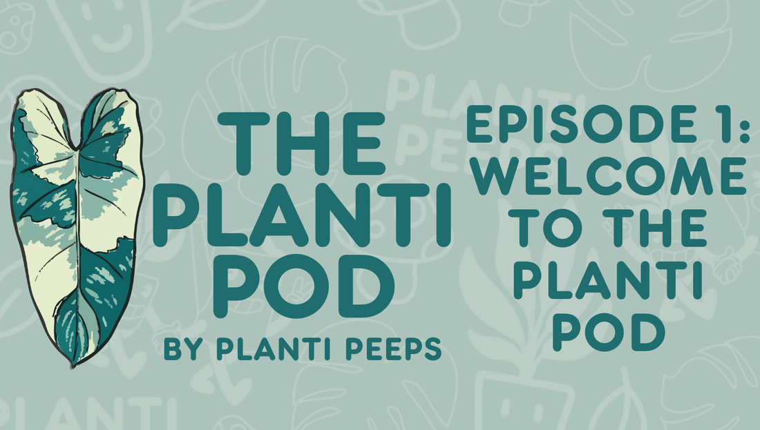 The Planti Pod - Episode 1: Welcome to The Planti Pod!