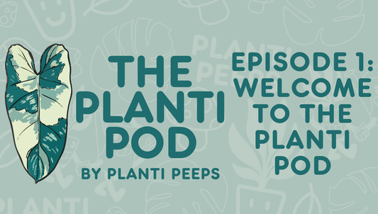The Planti Pod - Episode 1: Welcome to The Planti Pod!