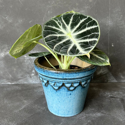 Glazed Castle Pot by Nipots 16cm